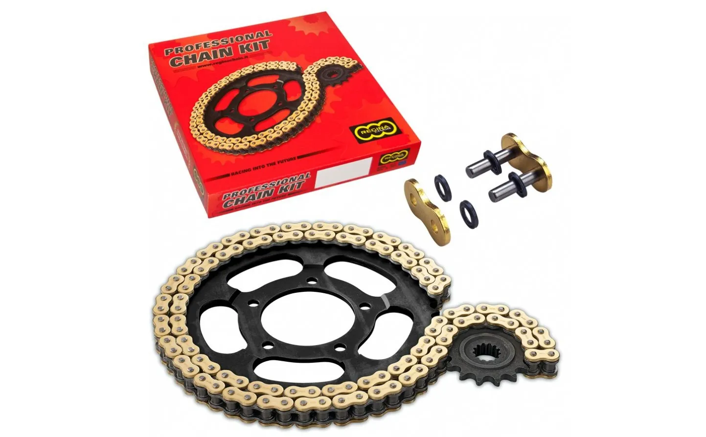 525 ZRP Chain And Sprocket Kit Regina /12300393/