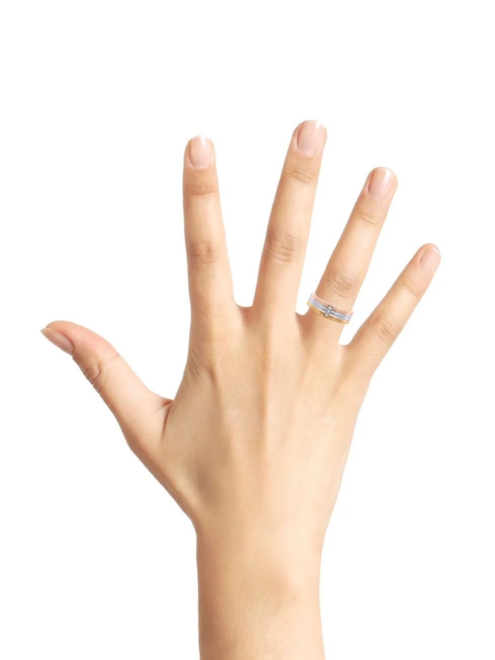 Anillo de boda Immortal Glitter Basic