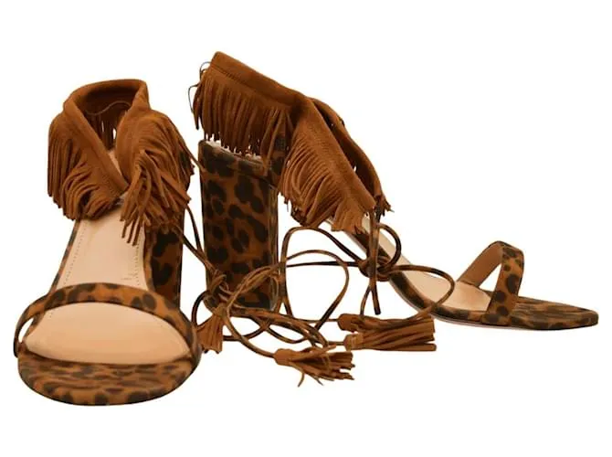 Aquazzura Zapatos de tacón Castaño 