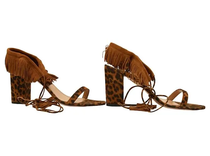 Aquazzura Zapatos de tacón Castaño 