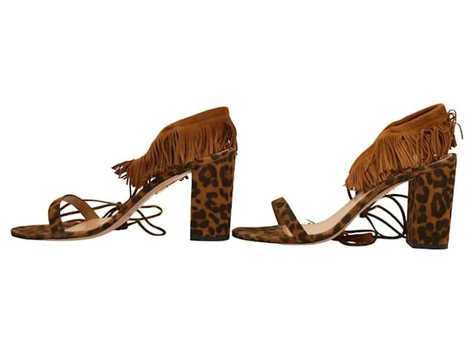Aquazzura Zapatos de tacón Castaño 