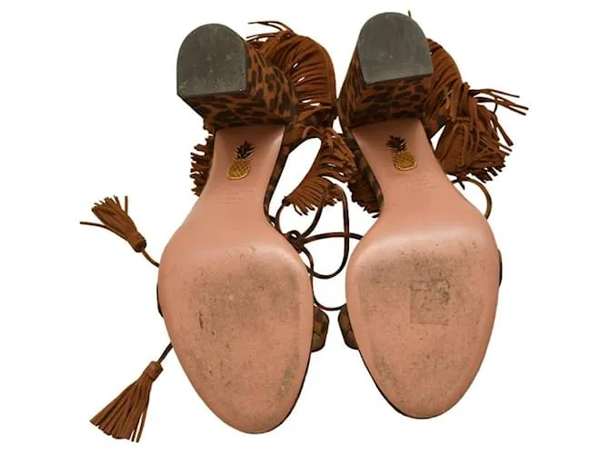 Aquazzura Zapatos de tacón Castaño 