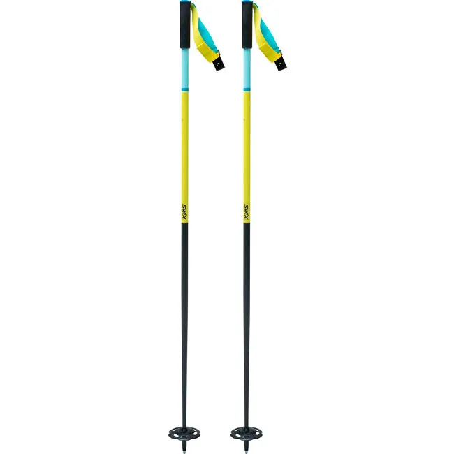 Bastones swix The Stick