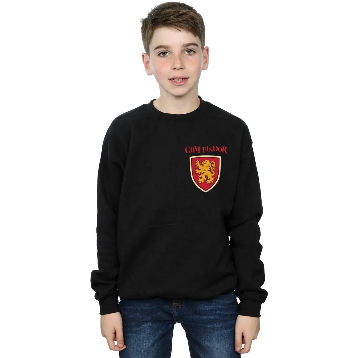 Gryffindor Lion Faux Pocket