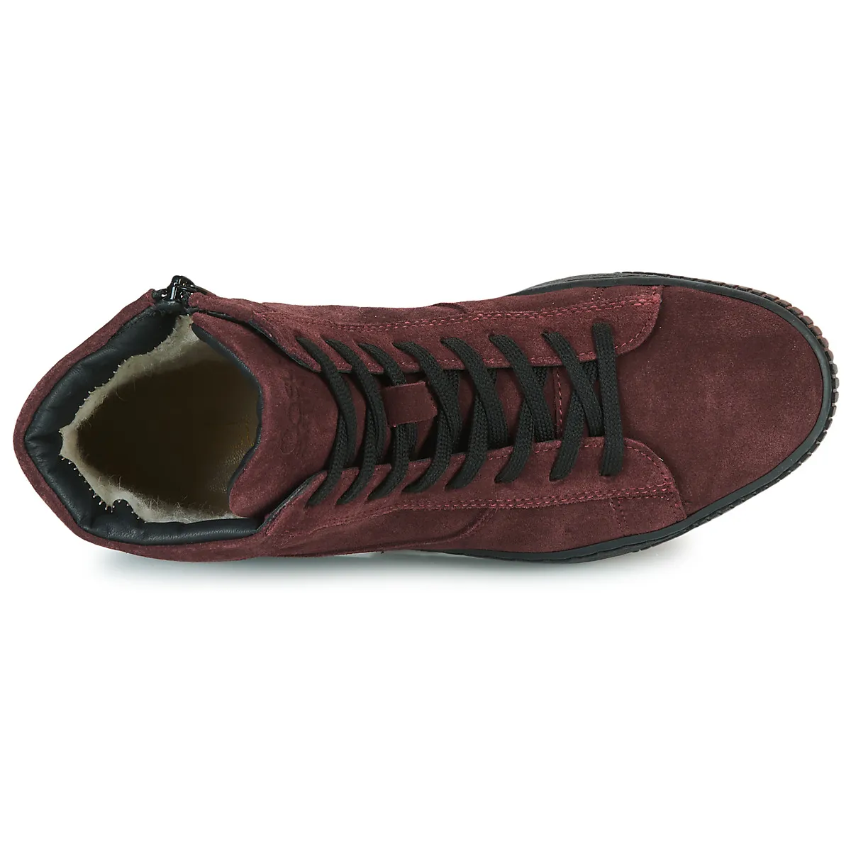 NEW0001