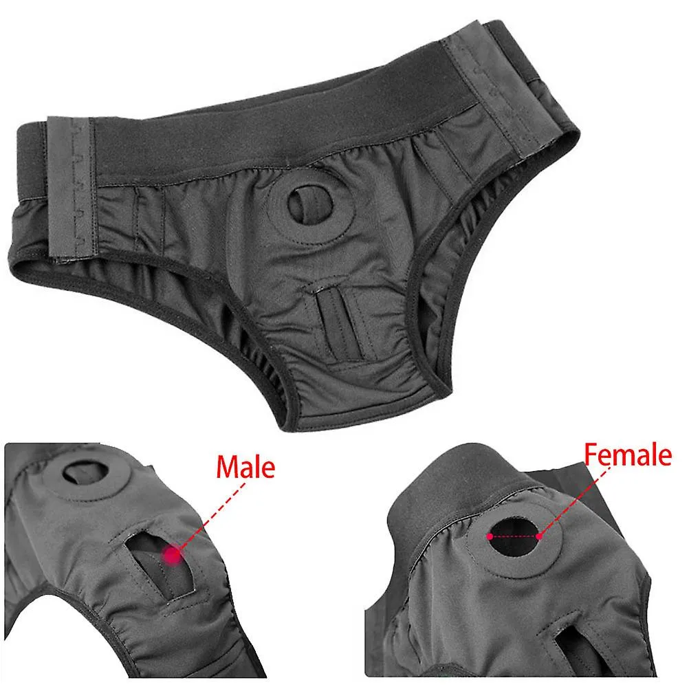 Pantalones con correa para arneses Ropa interior sin tirantes para hombres, mujeres, parejas, calzoncillos unisex